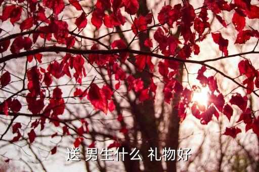 送 男生什么 禮物好
